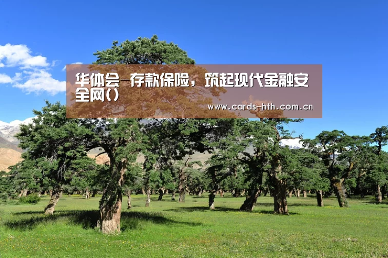 华体会