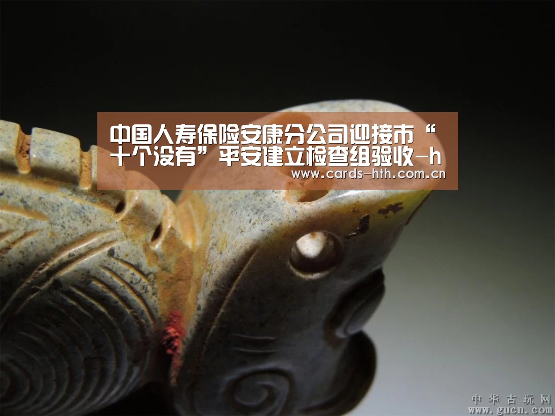 中国人寿保险安康分公司迎接市“十个没有”平安建立检查组验收-hth(图3) 华体会入口