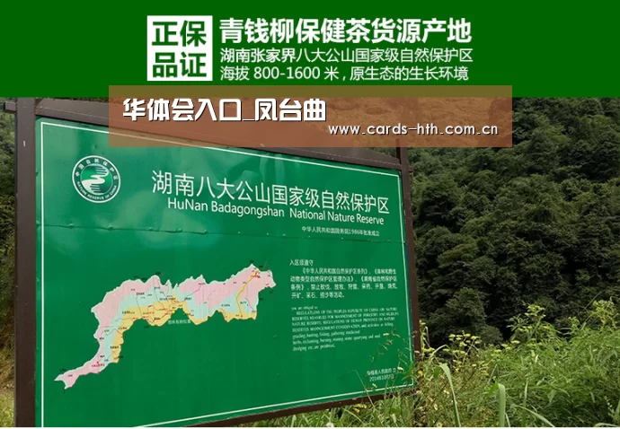 华体会入口_凤台曲(图1) 华体会入口